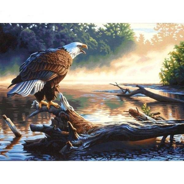 Bald Eagle Diamond Painting Diamond Art Kit