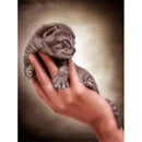 Beautiful Animal In The Hand Diamond Painting Diamond Art Kit