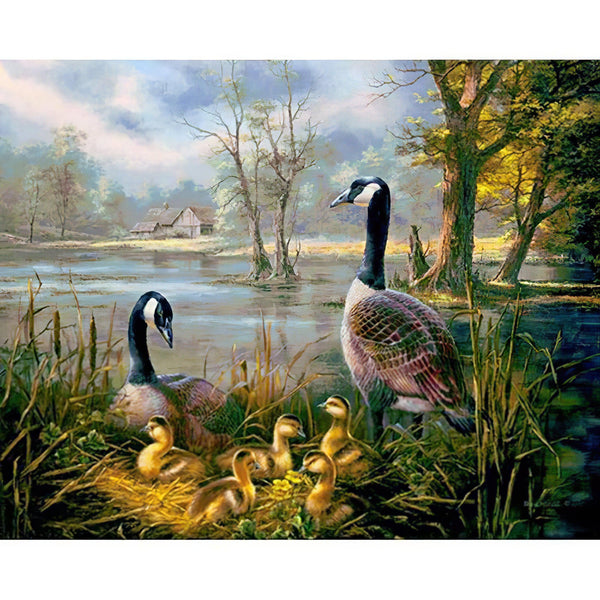 Ducks Diamond Painting Diamond Art Kit