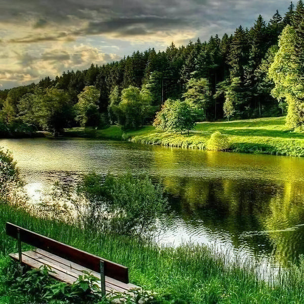 River And Natural Forest Diamond Painting Diamond Art Kit