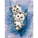 Three Cats Diamond Painting Diamond Art Kit