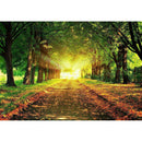 Tree Road Diamond Painting Diamond Art Kit