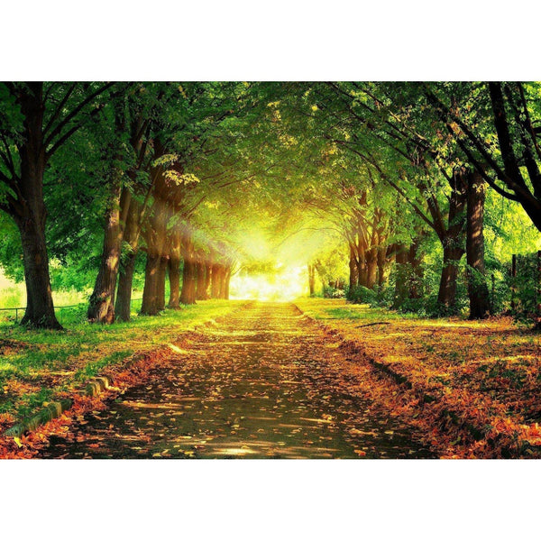 Tree Road Diamond Painting Diamond Art Kit